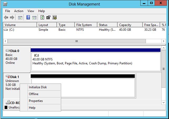 D - First Node Initialize Disk