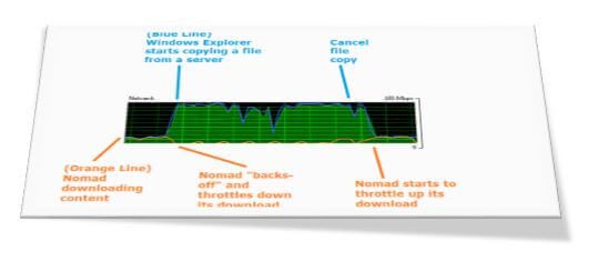 Test Case Report