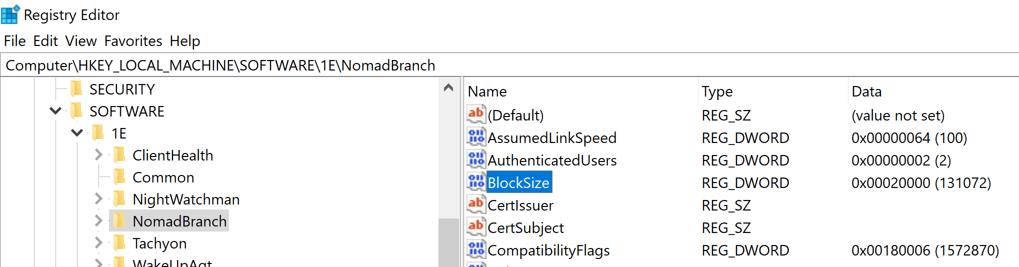 dynamic block sizing nomad